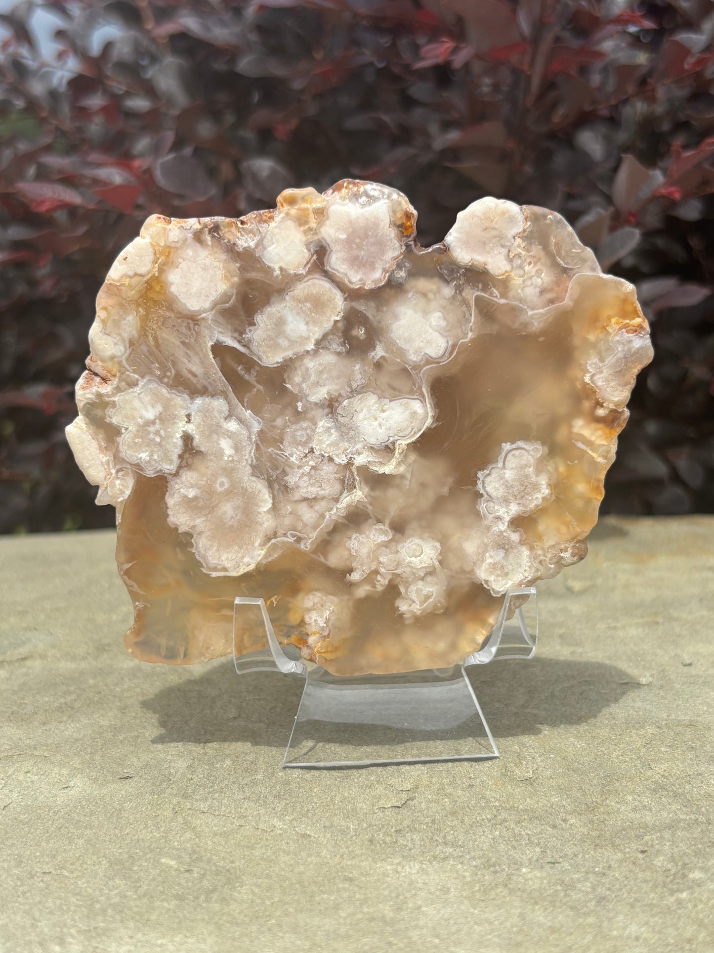 Flower Agate Slab