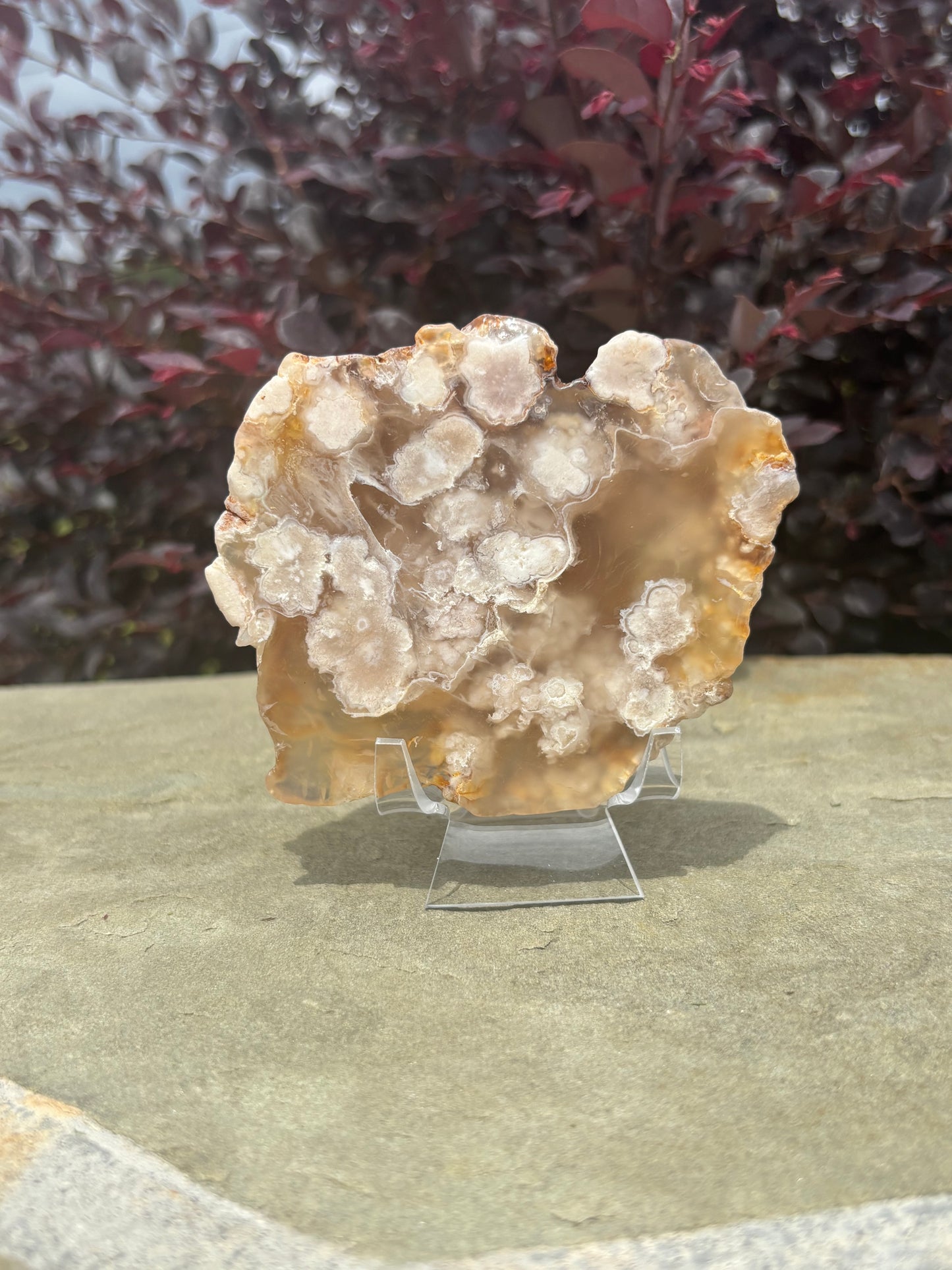 Flower Agate Slab