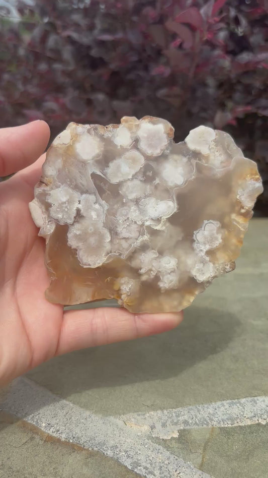 Flower Agate Slab